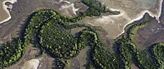 Nicholson-River-Panorama1